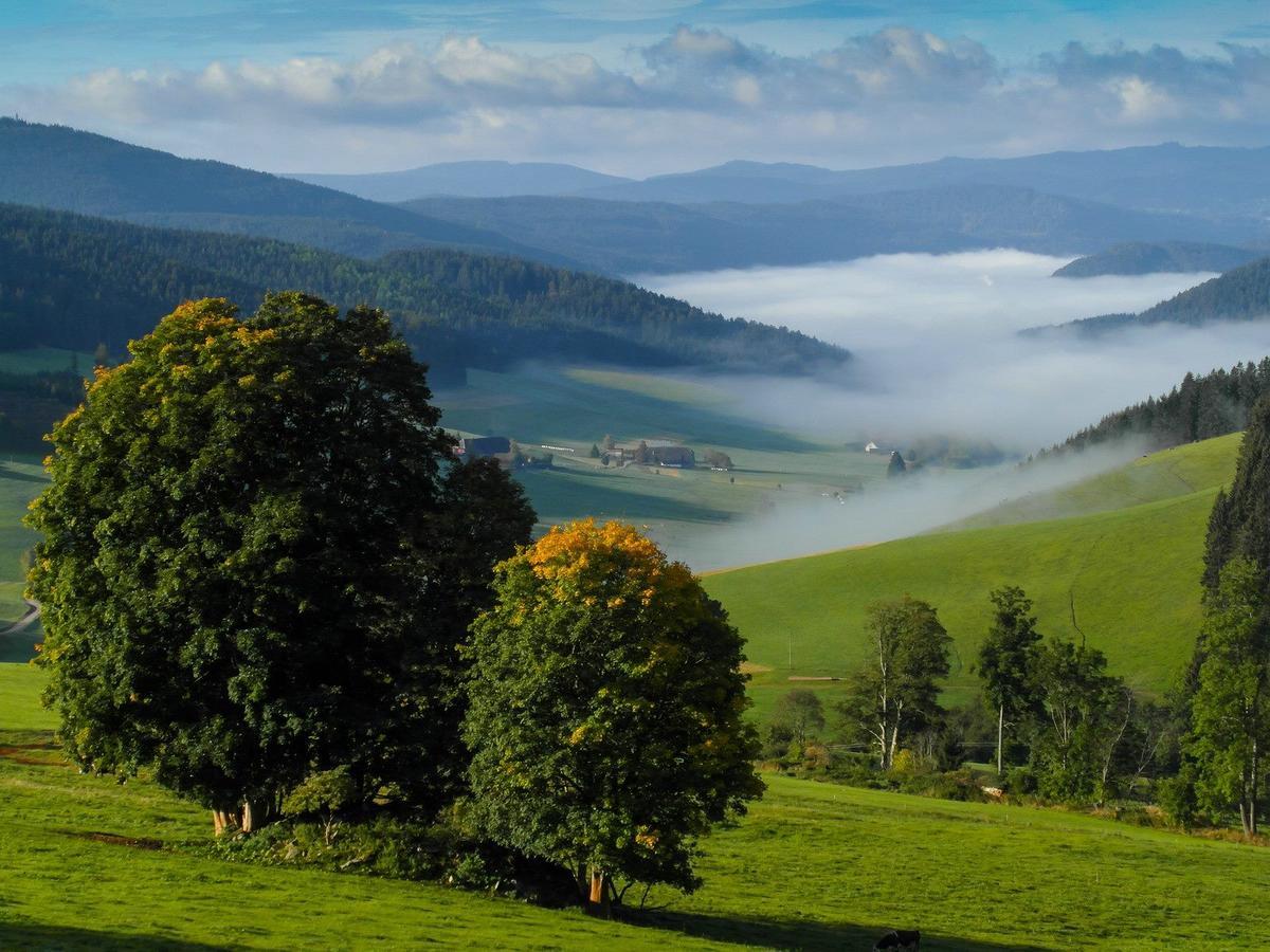 Schwarzwaldgasthaus Salenhof Titisee-Neustadt Kültér fotó