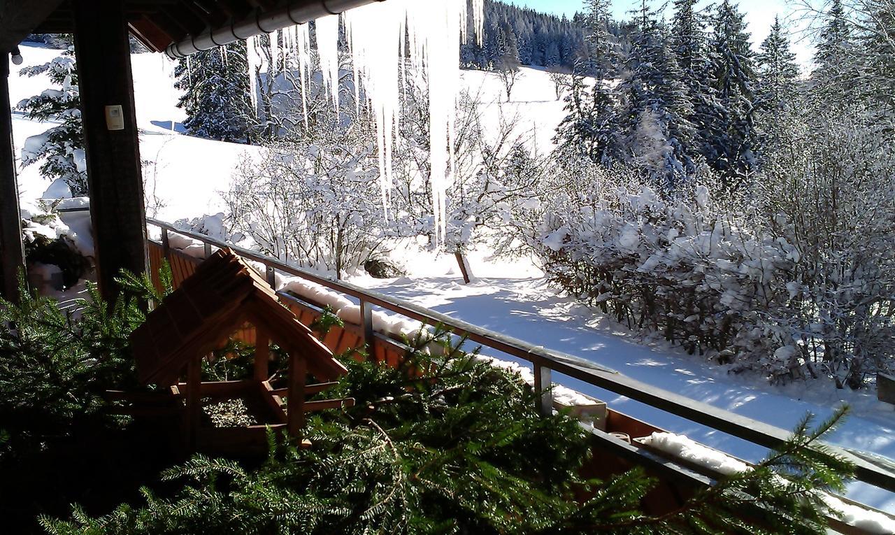 Schwarzwaldgasthaus Salenhof Titisee-Neustadt Kültér fotó