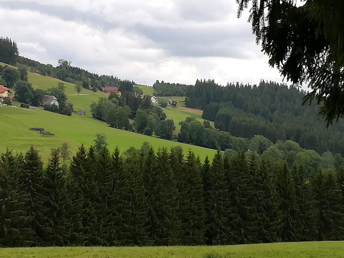 Schwarzwaldgasthaus Salenhof Titisee-Neustadt Kültér fotó