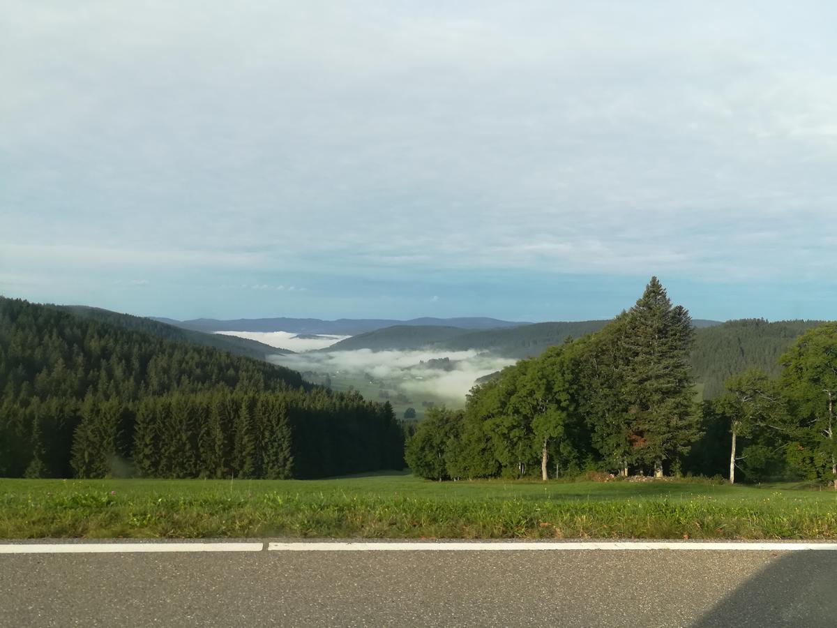 Schwarzwaldgasthaus Salenhof Titisee-Neustadt Kültér fotó